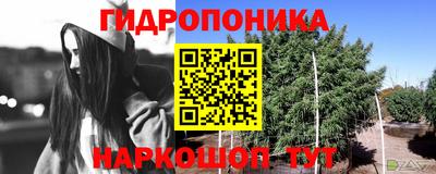 бутират Кингисепп