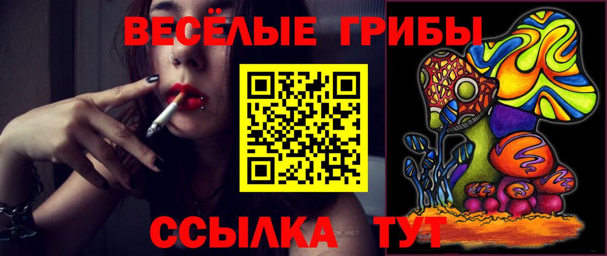 Галлюциногенные грибы прущие грибы Красноярск