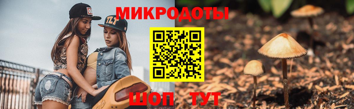 Красноярск  Псилоцибиновые грибы GOLDEN TEACHER  Вход с VPN 